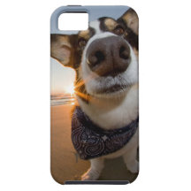 SuperHero iPhone 5 Covers