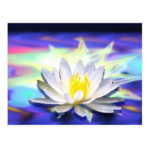 Supernatural Lotus Post Cards