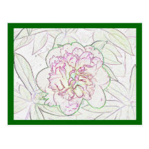 superpinkpeony4sketchoutline postcards
