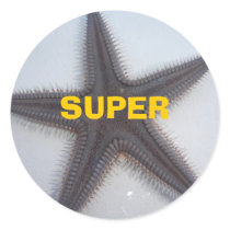 Superstar Sticker