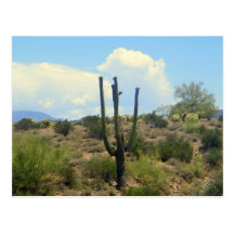 superstition beauty postcard