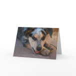 Support and Encouragement - Dog Lover Animal Humor Greeting Card