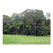 Support des arbres dans le jardin carte postale