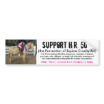 Support H.R. 503 - Prevention of Cruelty to Horses Bumper Stickers