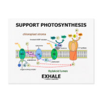 Support Photosynthesis Exhale (Biochemistry Humour