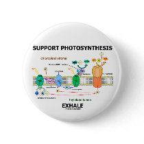 Support Photosynthesis Exhale (Environmental)