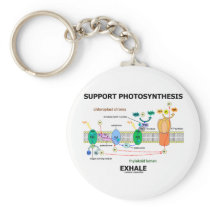 Support Photosynthesis Exhale (Environmental)