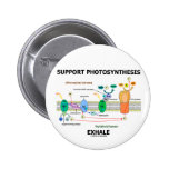Support Photosynthesis Exhale (Environmental) Pin