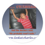 Support Special Needs stickers