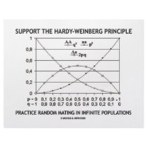 Support The Hardy-Weinberg Principle Practice