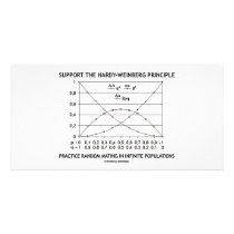 Support The Hardy-Weinberg Principle Practice