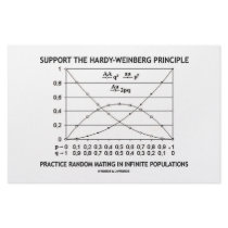 Support The Hardy-Weinberg Principle Practice