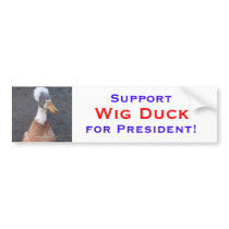 Support Wig Duck