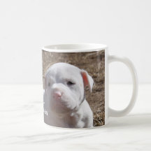 Support Your Local Shelter Mug