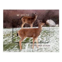 Sur les endroits élevés carte postale
