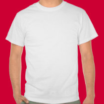 sure you can trust the government ask an indian t-shirts