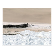 surf dude postcard
