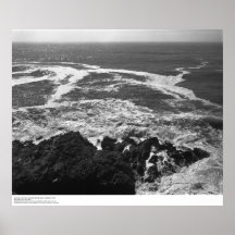 Surf, Rocks, and Foam Lines Near Bodega Station Posters