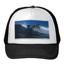 Surfing Birds Trucker Hats