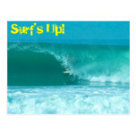 Surf's Up! postcard