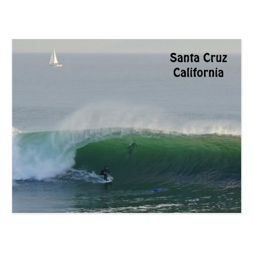 Surf's Up-Santa Cruz Postcard