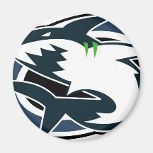 Surge Magnet