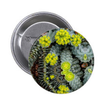 Surge May 2013 Pinback Button