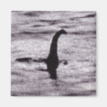 Surgeon's Photo Magnet