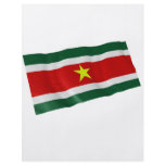 suriname full color flyer