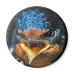 Surly Swallow Magnet