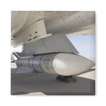 Surplus Navy Phoenix missiles magnets