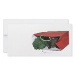 Surprise Christmas gift photo cards