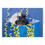 Surprise Guinea Pig Greeting Card
