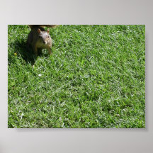 Surprise Poster