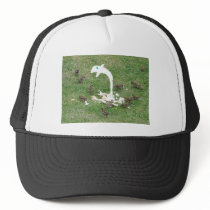 Surprise Suprise Mesh Hat