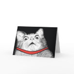 Surprised Cat Gasp Meme - Greeting Card