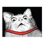 Surprised Cat Gasp Meme - Postcard