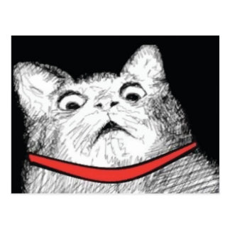surprised_cat_gasp_meme_postcard-r061397181b5e47e3aeafdc0224f921b6_vgbaq_8byvr_324.jpg