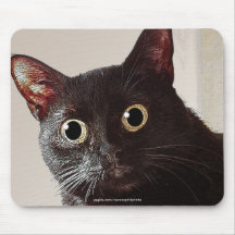Surprised Kitty Funny Cat-lover's Mousepad