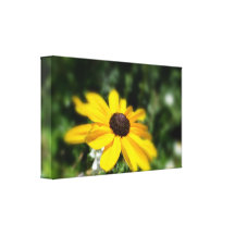 Surreal Black Eyed Susan Flower Canvas Print