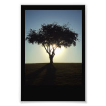 Surreal Tree Photo Print