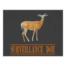 Surveilence Doe Announcement