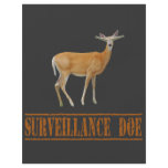 Surveilence Doe Flyer Design