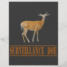 Surveilence Doe Flyer Design