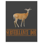 Surveilence Doe Letterhead Template
