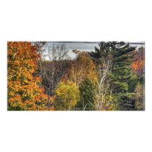 Surveillance d'automne cartes de vœux avec photo