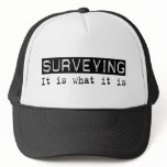Surveying It Is Mesh Hats