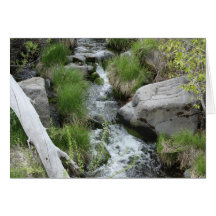 Susan River Cards