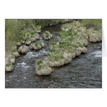 Susan River Greeting Cards