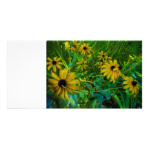 Susans Noir-Eyed Photocartes Personnalisées